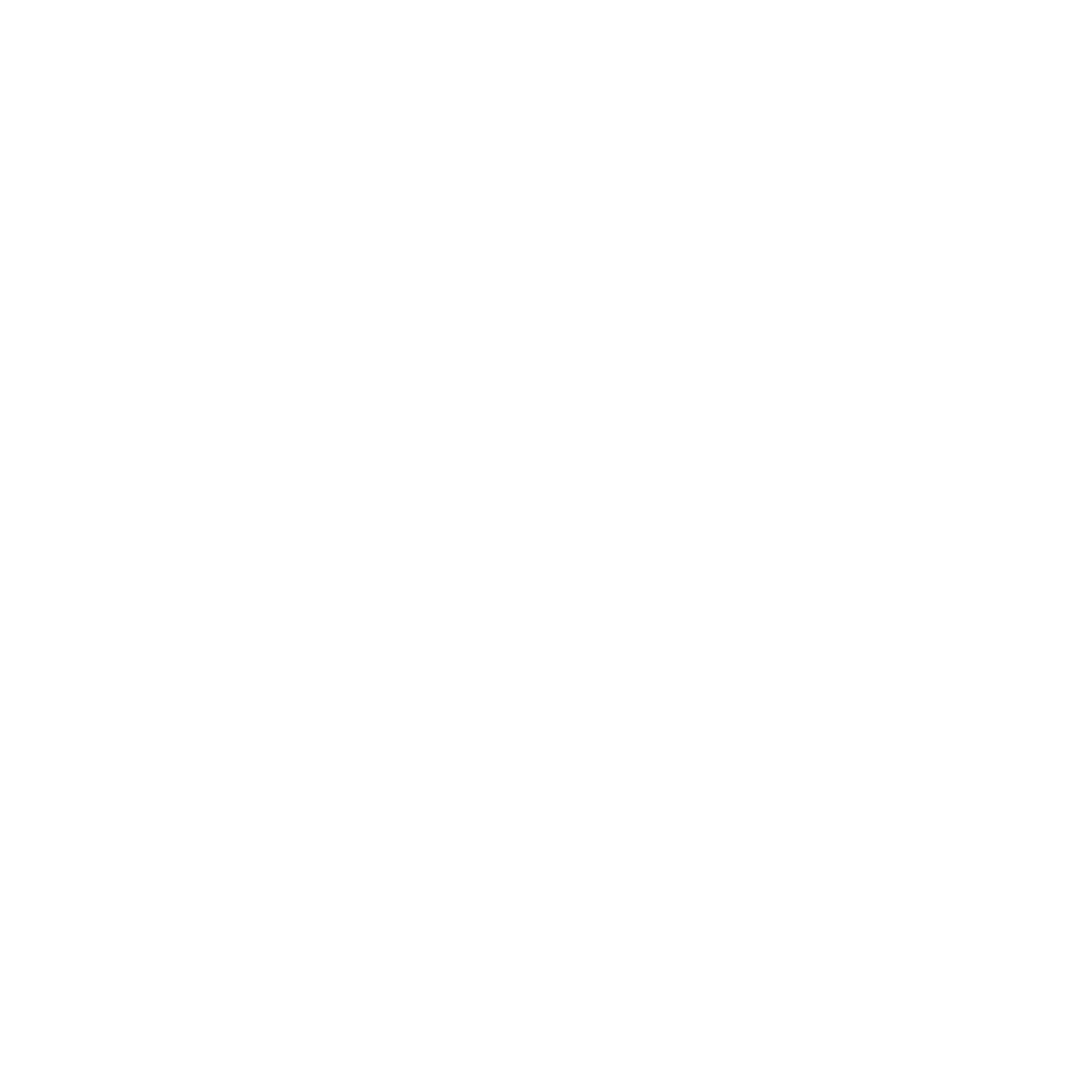 The Slic Store